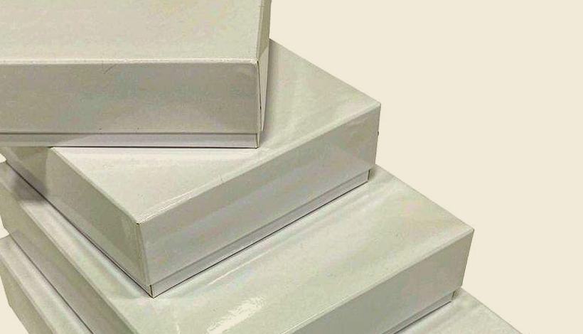 Hard Carry Cases Vape Gear packaging detail